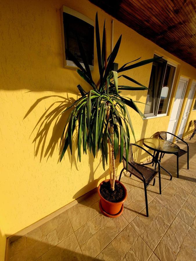 Cabana Varad Coronini Moldova Veche Экстерьер фото
